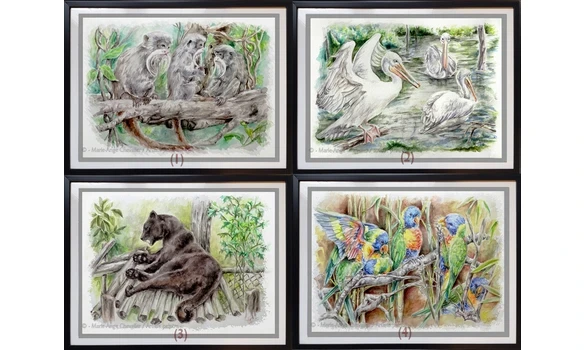 SÉRIE ZOO 2 / Reproductions