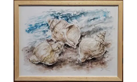 COQUILLAGES - Original