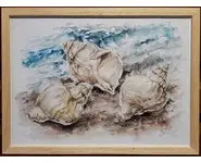 COQUILLAGES - Original