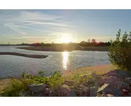FIN D'APRÈS-MIDI AU BORD DE LOIRE
