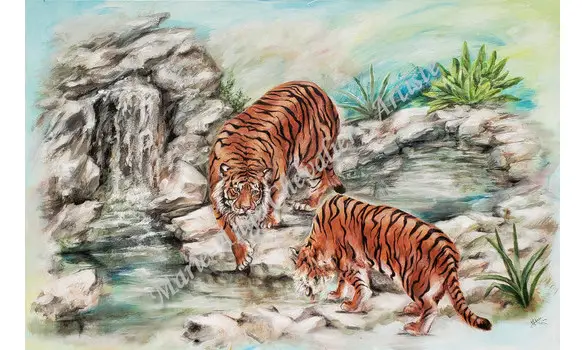 TIGRES SE DÉSALTÉRANT - Original