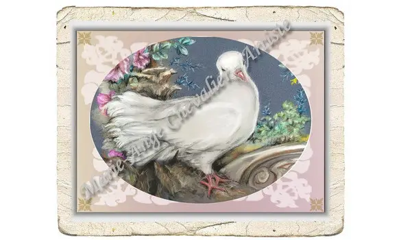 COLOMBE ou POISSONS TROPICAUX