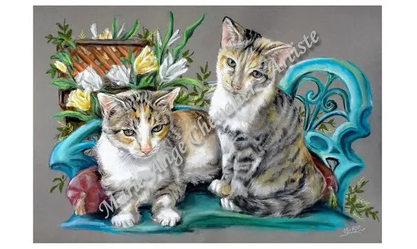 CHATONS - Reproduction