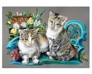 CHATONS - Reproduction