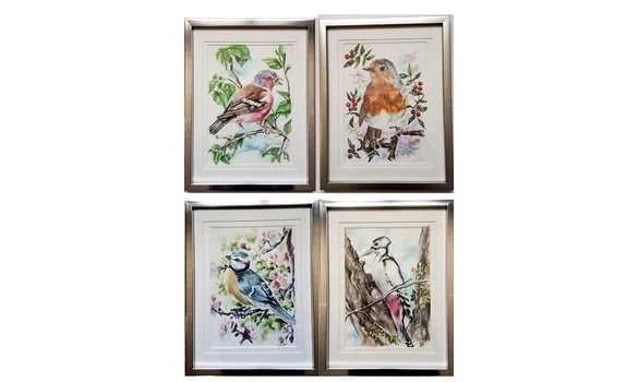 PINSON/MESANGE/ROUGE-GORGE/EPECHE