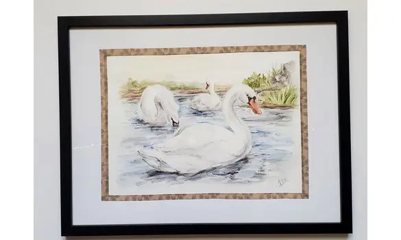 CYGNES BLANCS - Original