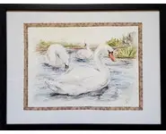 CYGNES BLANCS - Original