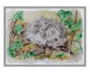 HÉRISSON - Reproduction