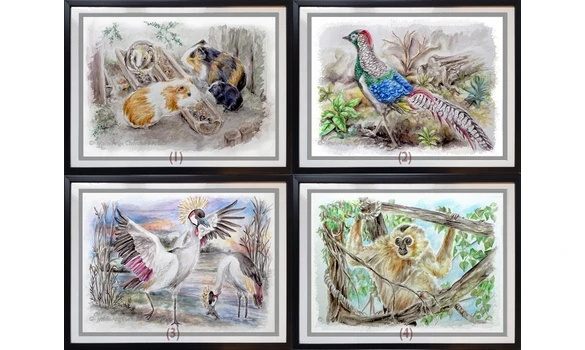 SÉRIE ZOO 3 / Reproductions