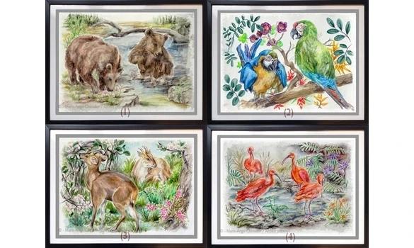 SÉRIE ZOO 4 / Reproductions