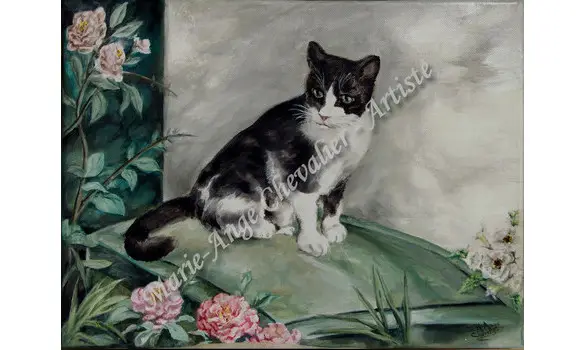 CHAT NOIR & BLANC - Original