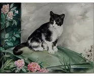 CHAT NOIR & BLANC - Original