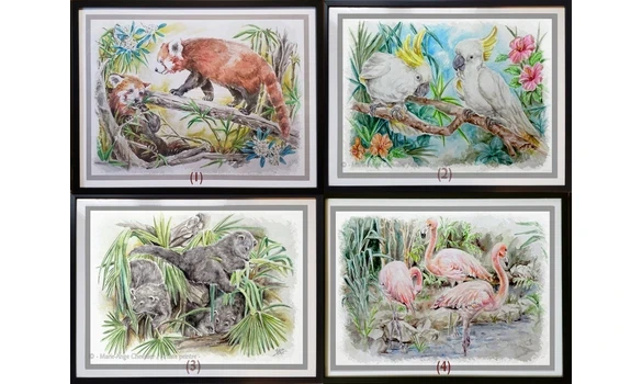 SÉRIE ZOO 1 / Reproductions