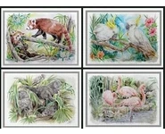 SÉRIE ZOO 1 / Reproductions