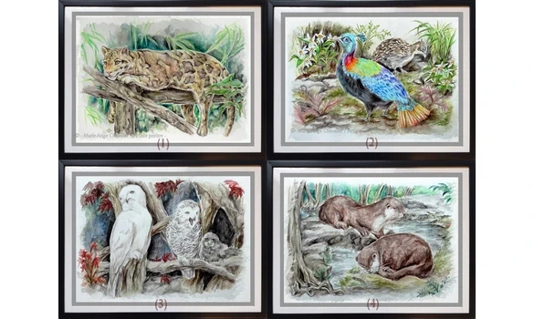 SÉRIE ZOO 5 / Reproductions