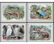 SÉRIE ZOO 5 / Reproductions