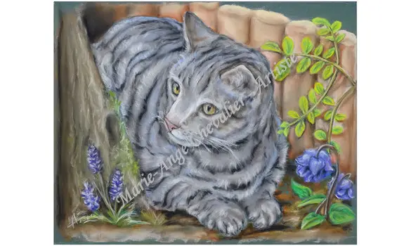 CHAT SAUVAGE - Original