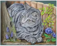 CHAT SAUVAGE - Original