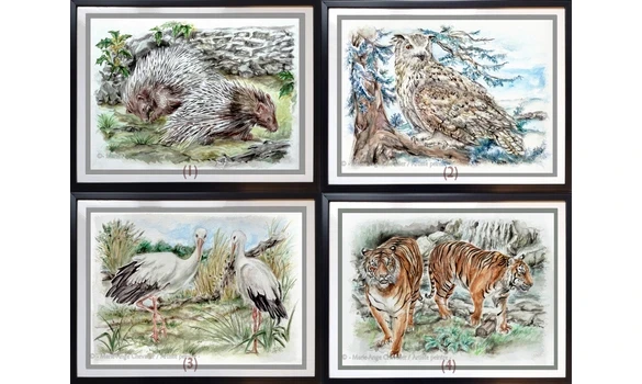 SERIE ZOO 6 / Reproductions