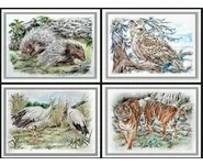 SERIE ZOO 6 / Reproductions