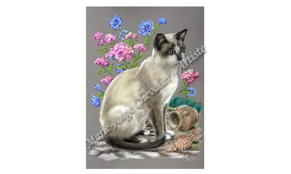 SIAMOISE - Reproduction