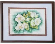 SERINGATS / JONQUILLES - Originaux