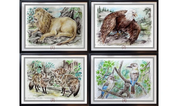 SÉRIE ZOO 7 / Reproductions